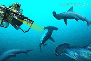 red sea - sanganeb reef - COMPOSING > submarine / 3 hamme... by Manfred Bail 